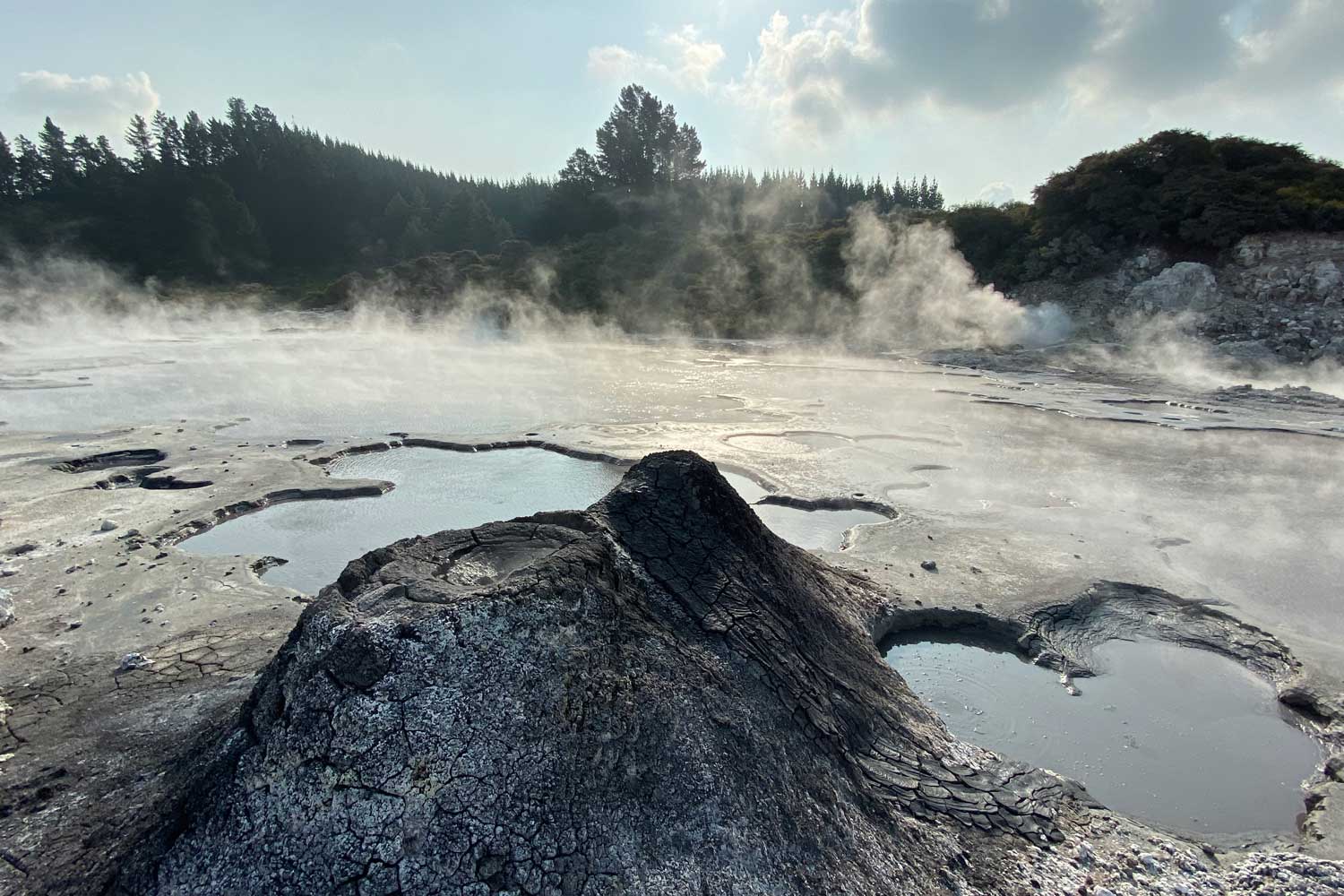 Rotorua 1